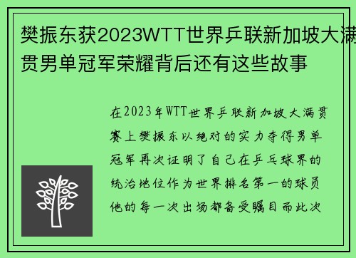 樊振东获2023WTT世界乒联新加坡大满贯男单冠军荣耀背后还有这些故事