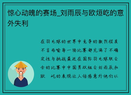 惊心动魄的赛场_刘雨辰与欧烜屹的意外失利