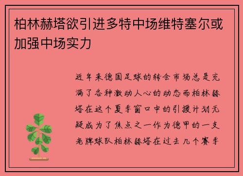 柏林赫塔欲引进多特中场维特塞尔或加强中场实力